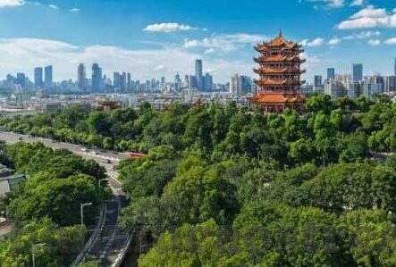 91蝌蚪麻豆-成人内容与网络环境，隐私、责任与界限探讨